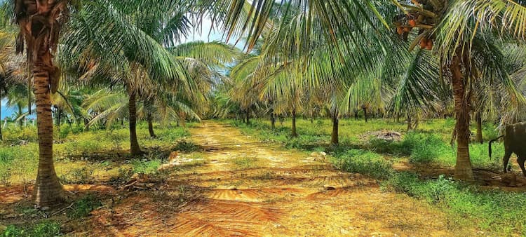 Single Property Image