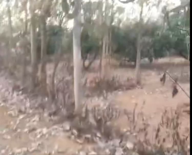 4 Acre land for sales