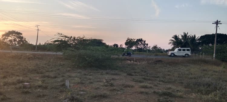 Agricultural Land