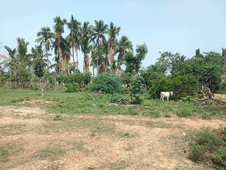 Plot sale