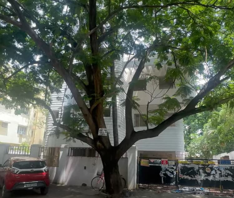 Single Property Image