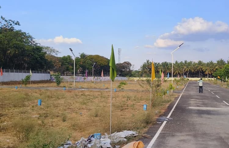 Plot for Sale