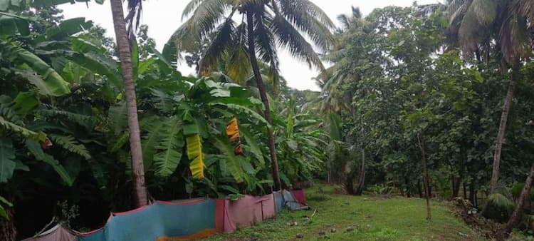 LAND FOR SALE