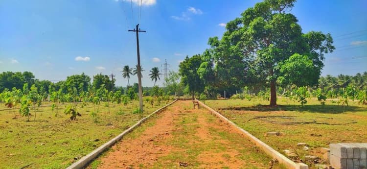 Plot for Sale Kinathukadavu