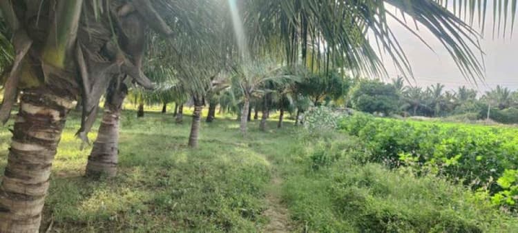 Land sale