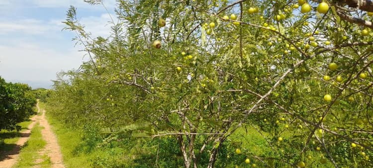 Single Property Image