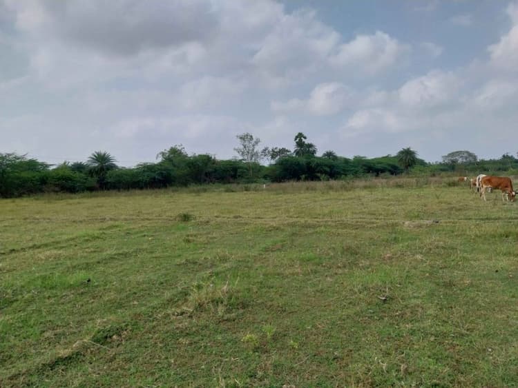 agri land for sale 