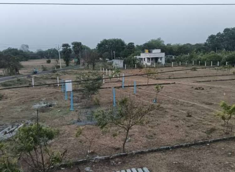 Land for sales