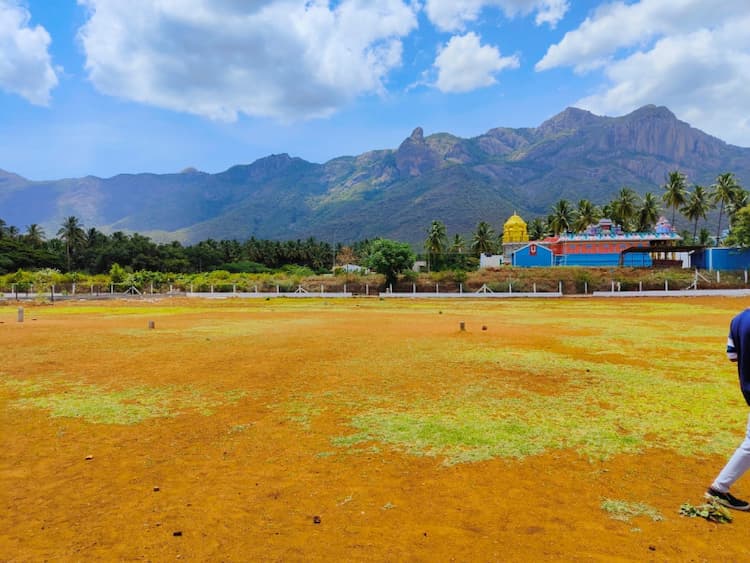 Single Property Image