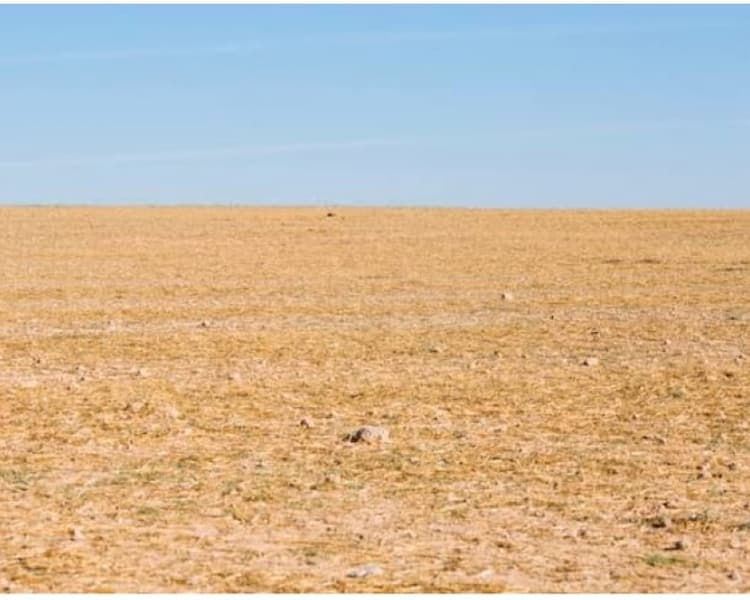 Plot for sale