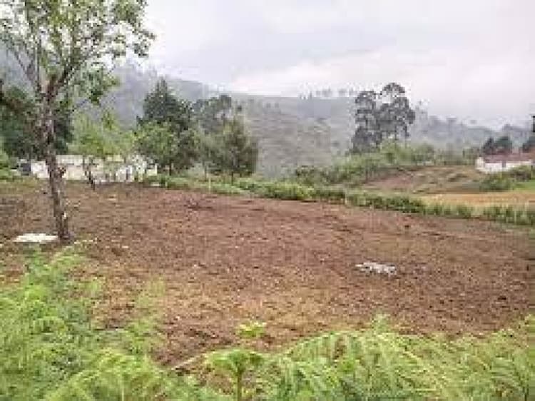 Kodaikanal Plot for sale
