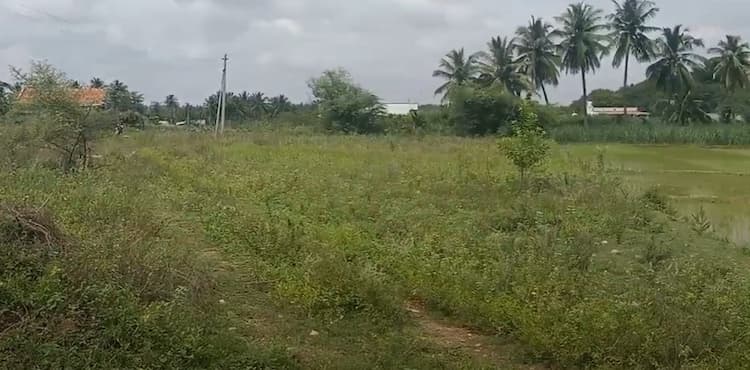 Land for sales