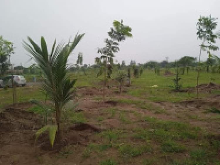 farm land for sale