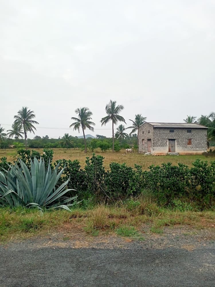 Single Property Image