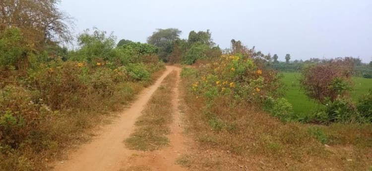 Single Property Image