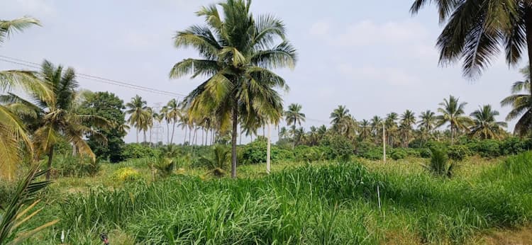 3.30 Acre Land for Sale