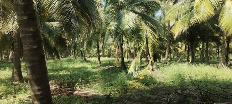 Single Property Image