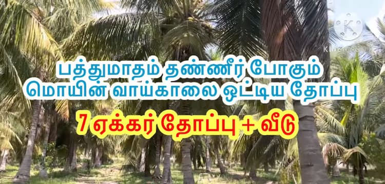 Single Property Image