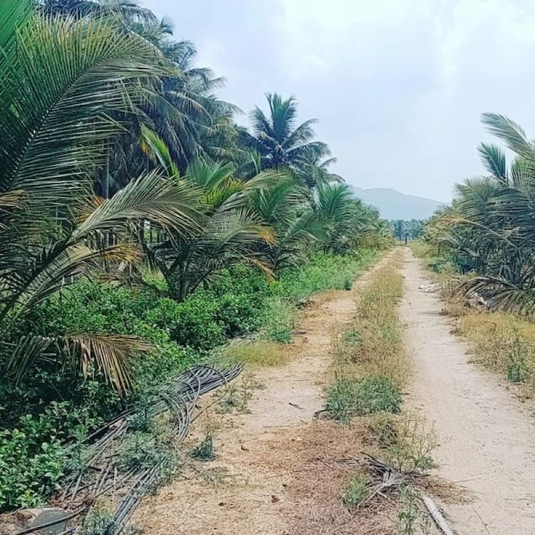 Single Property Image