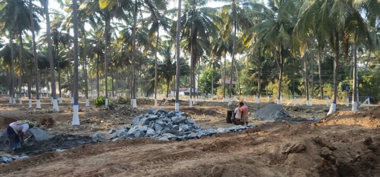 coconut farm land for sale