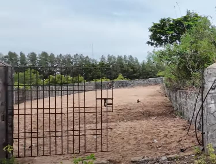 Land for sales