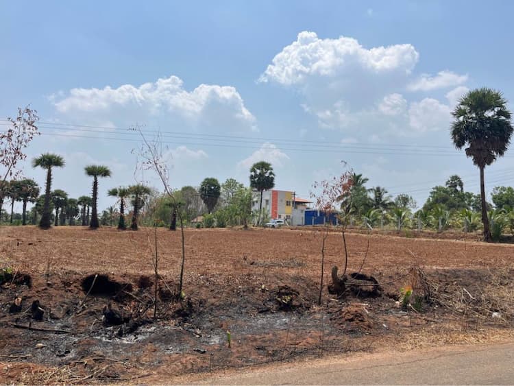 Single Property Image