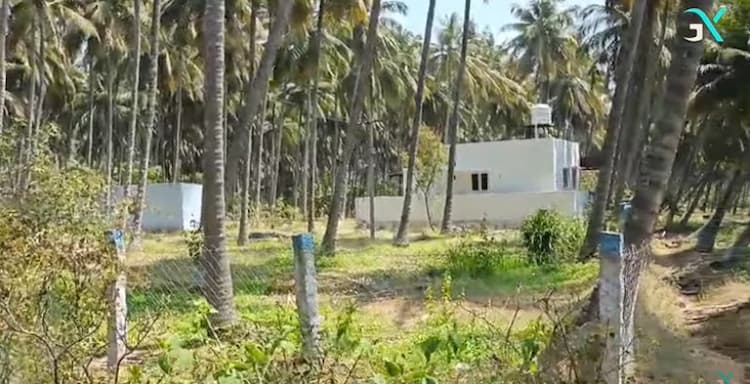 Land for Sale with Farm House