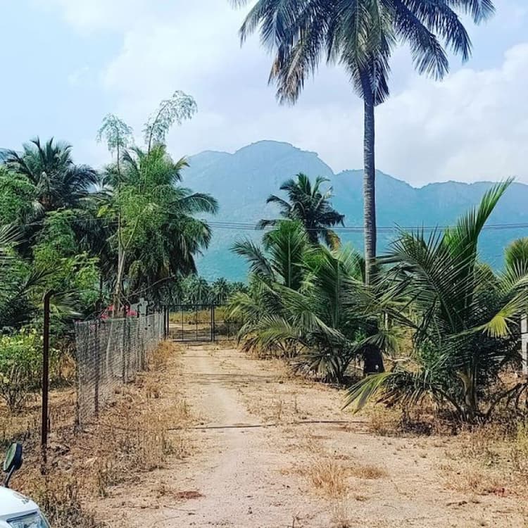 Single Property Image