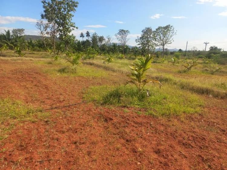 Single Property Image