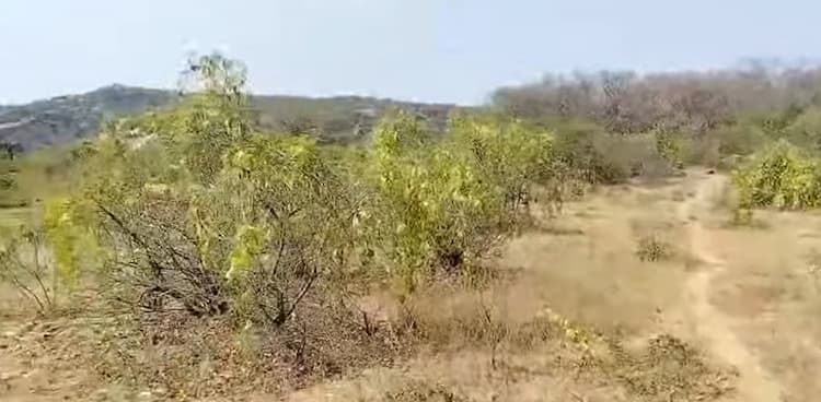 Low Budget Land for Sale