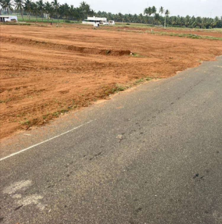 50 Cent Land for Sale