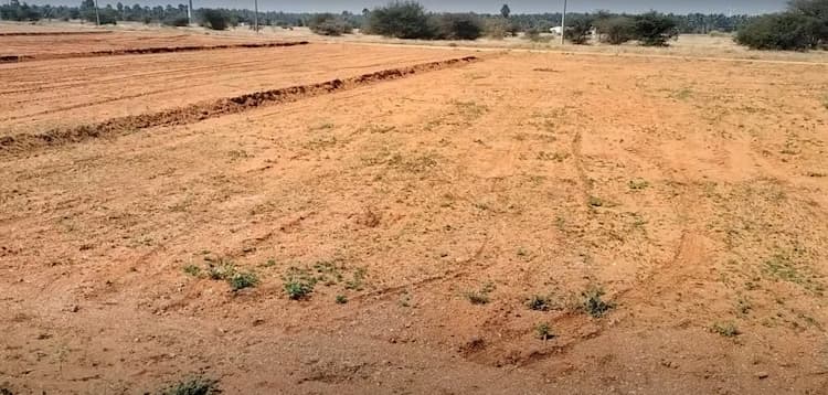 40 Cent Land for Sale