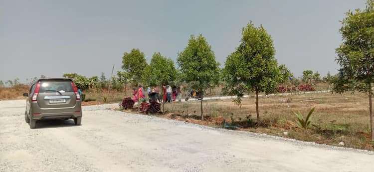 Land for sale