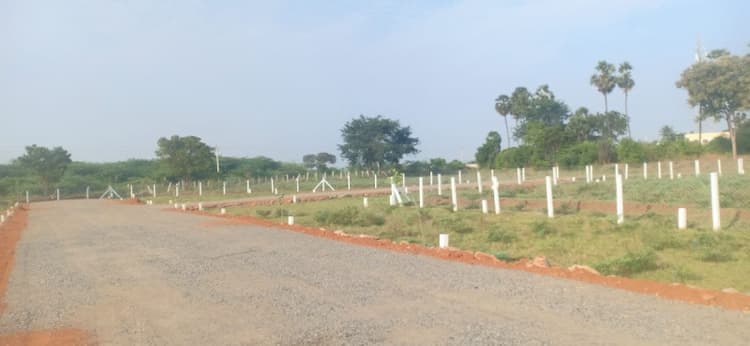 Plot sale