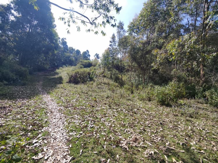 mountain, valley , falls view Land