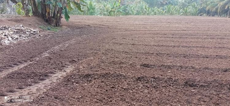 Agriculture land for sale