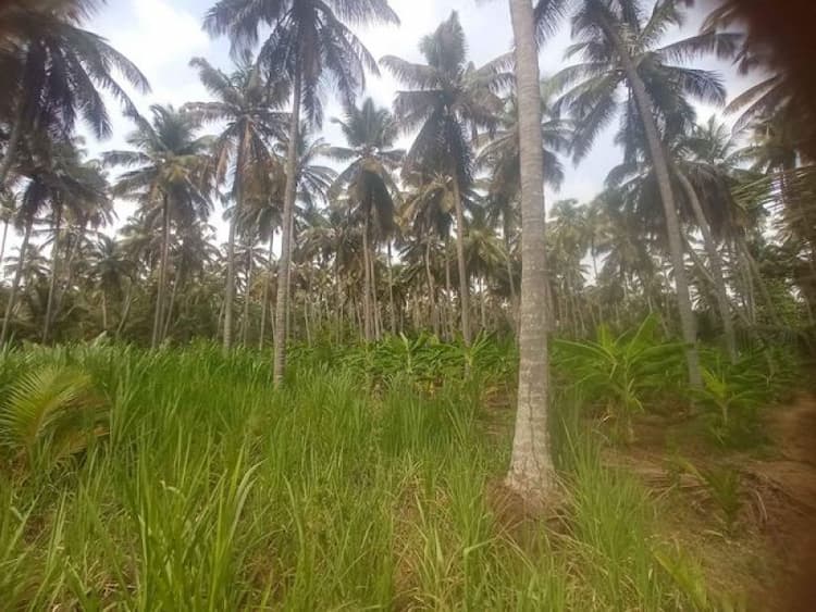 Single Property Image