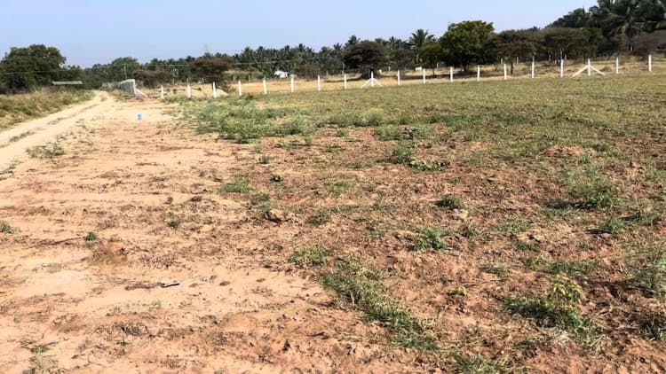 2 Acre Land for Sale