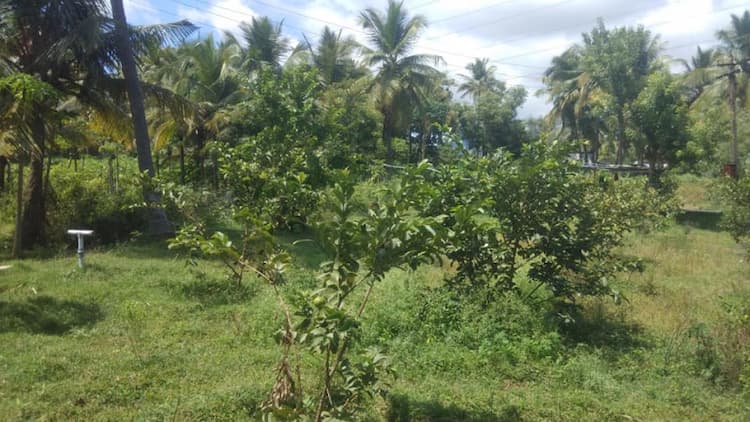 Plot sale