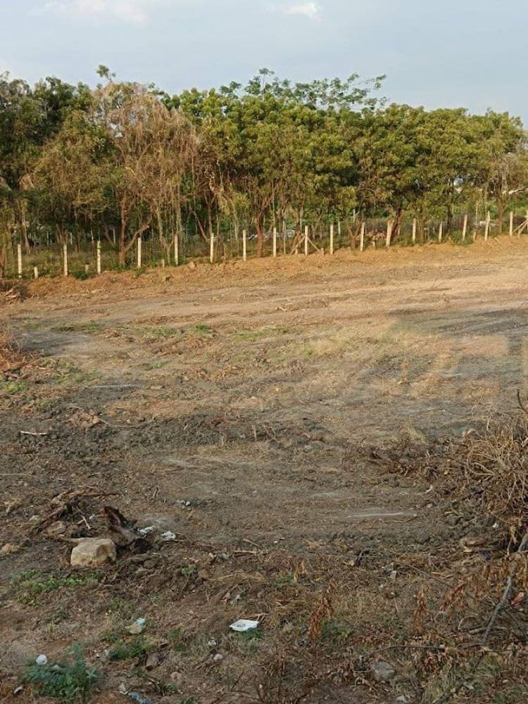 pLot sale