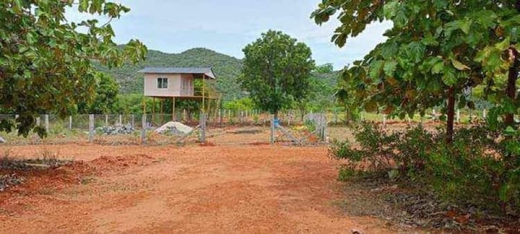 Farm Land For Sale