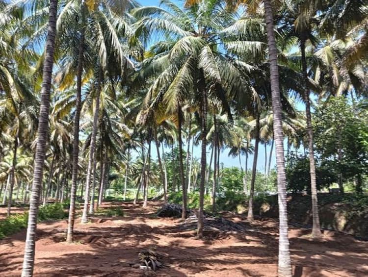 Single Property Image