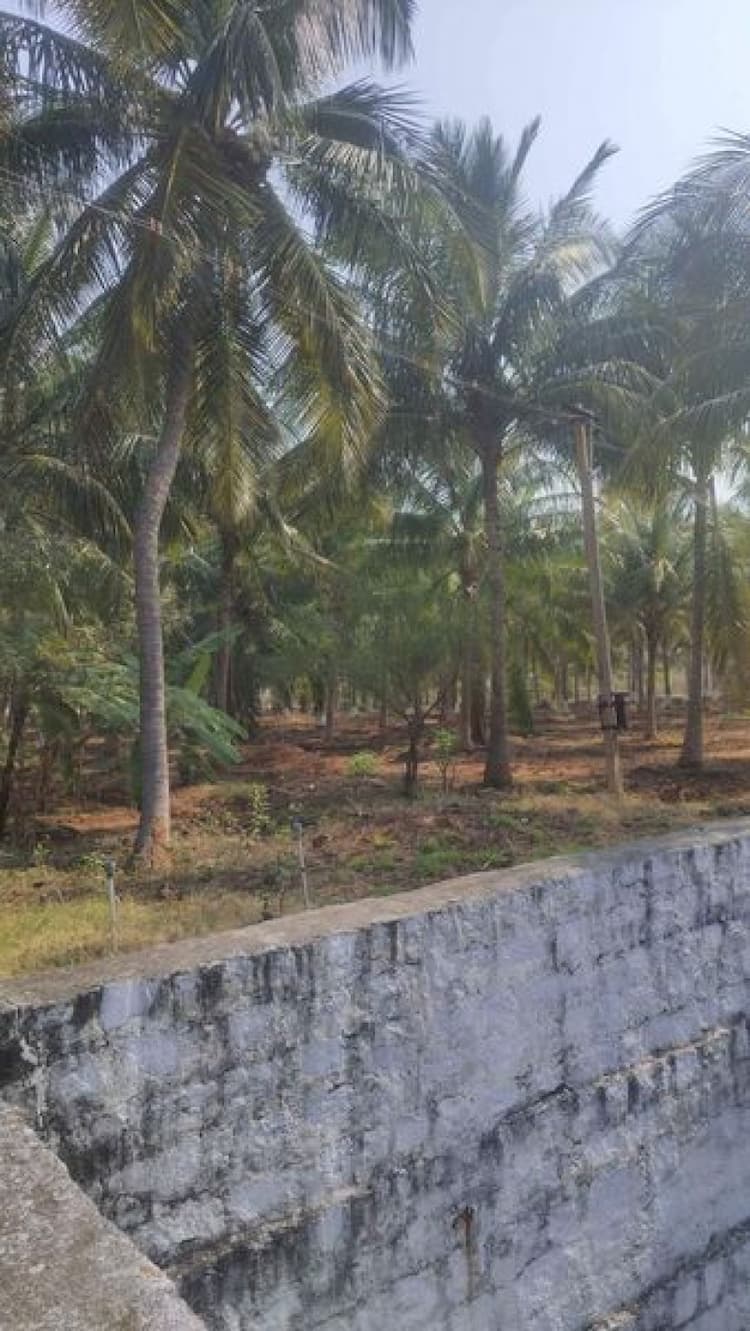 Agri Land For Sale
