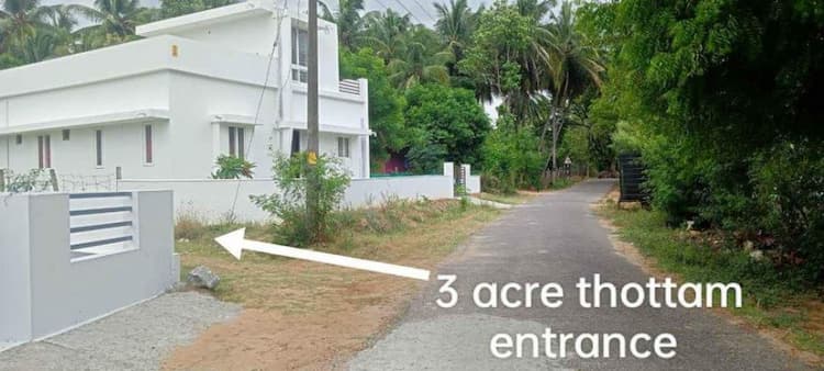 Coconut Thottam For Sale