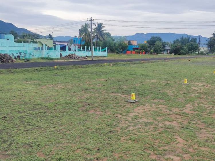 Plot sale