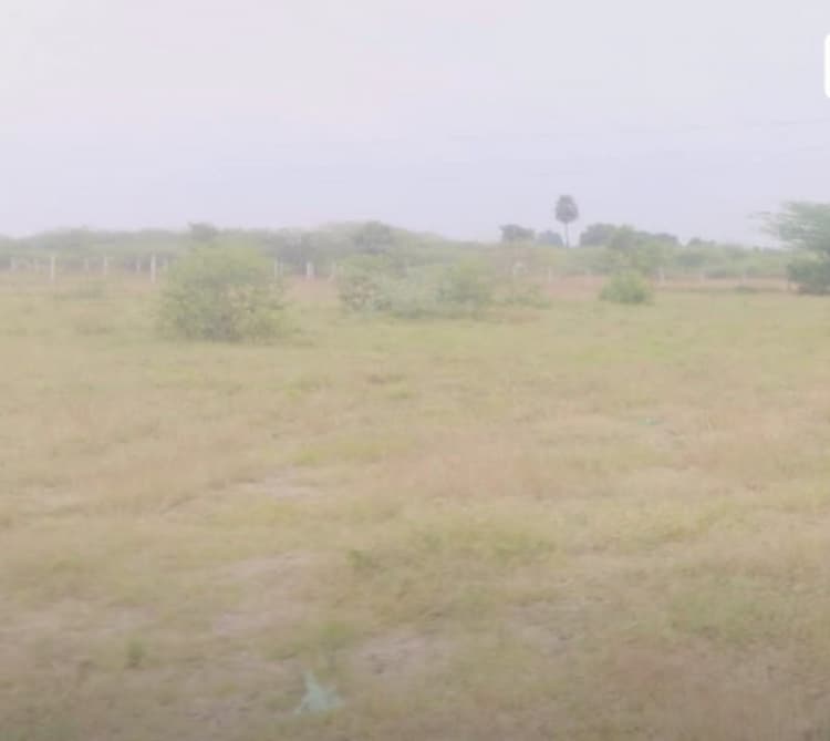 25 Acre vacant agriculture land for sale