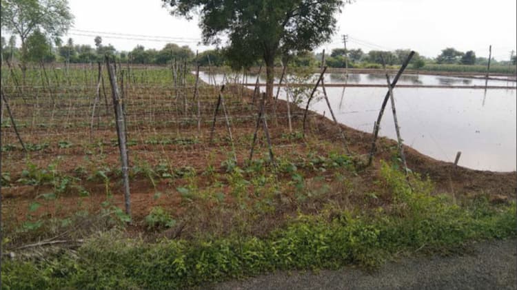 Agri Land For Sales