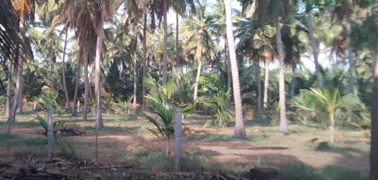 Land for sales