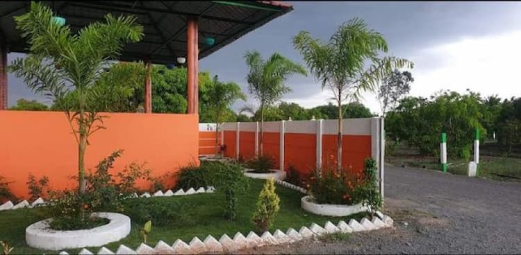 Mango farmland sale