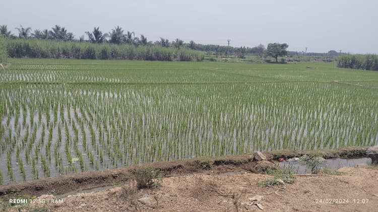 1 Acre Land For Sales